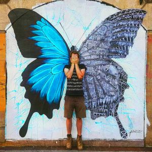 Sweat Femme Ardif : Butterfly mechanimal big