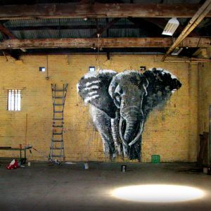 Sweat Femme Makatron :  Elephant warehouse big