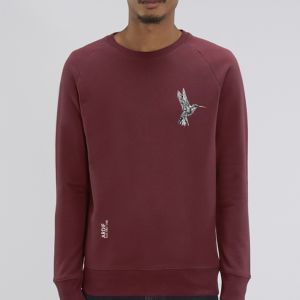 Sweat Homme Ardif : Hummingbird mechanimal small