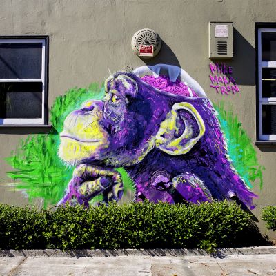 Sweat enfant Makatron : Monkey Brains small