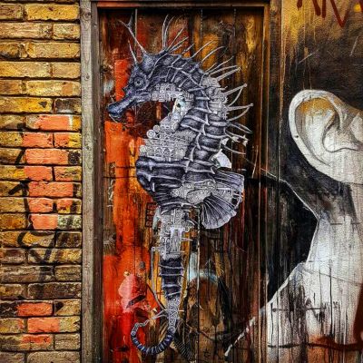 Sweat enfant Ardif : Seahorse Mechanimal small